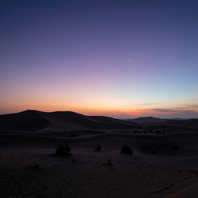 Serenity Desert Landscape